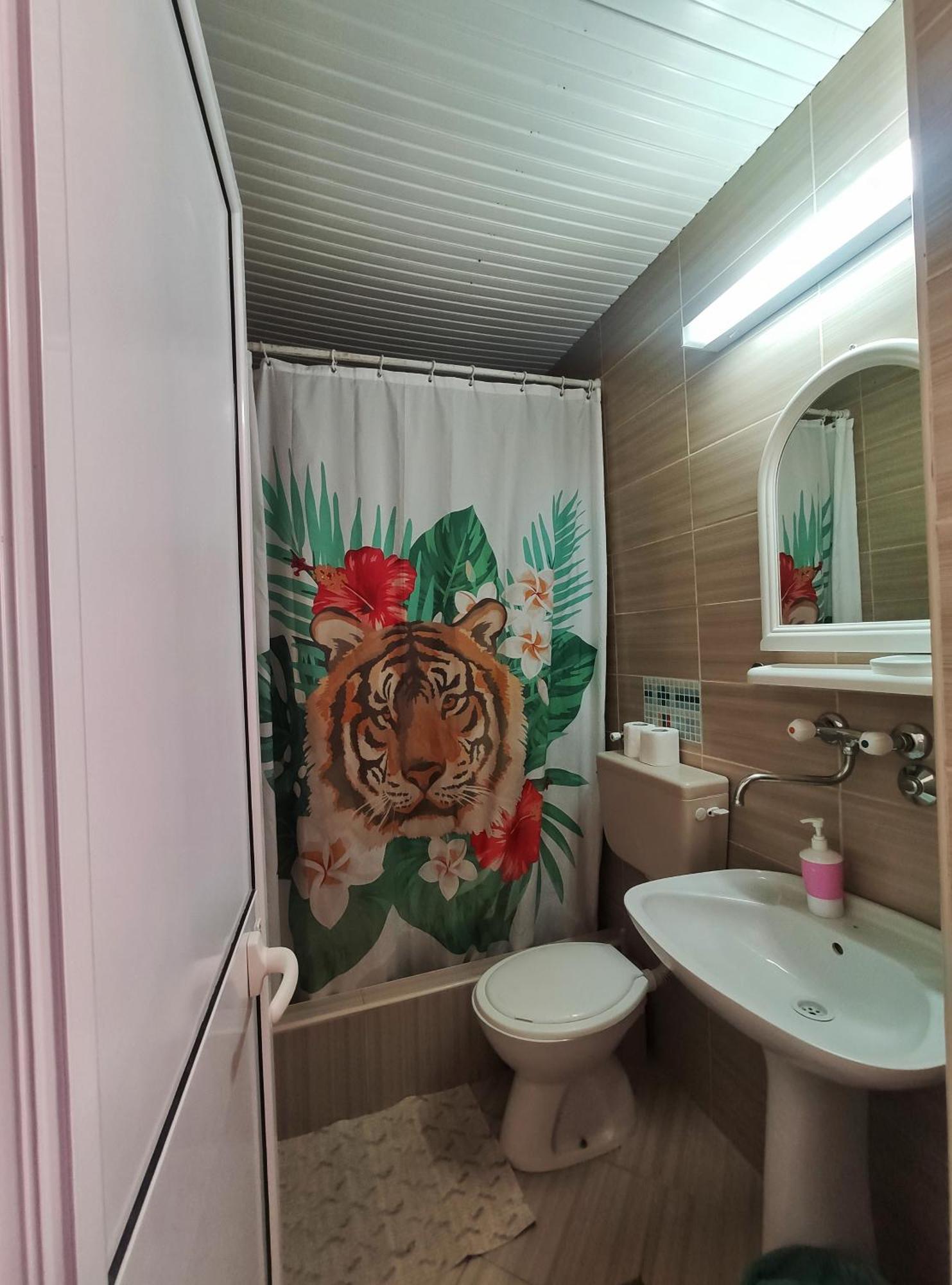 Apartments Gvozdenovic Petrovac Room photo