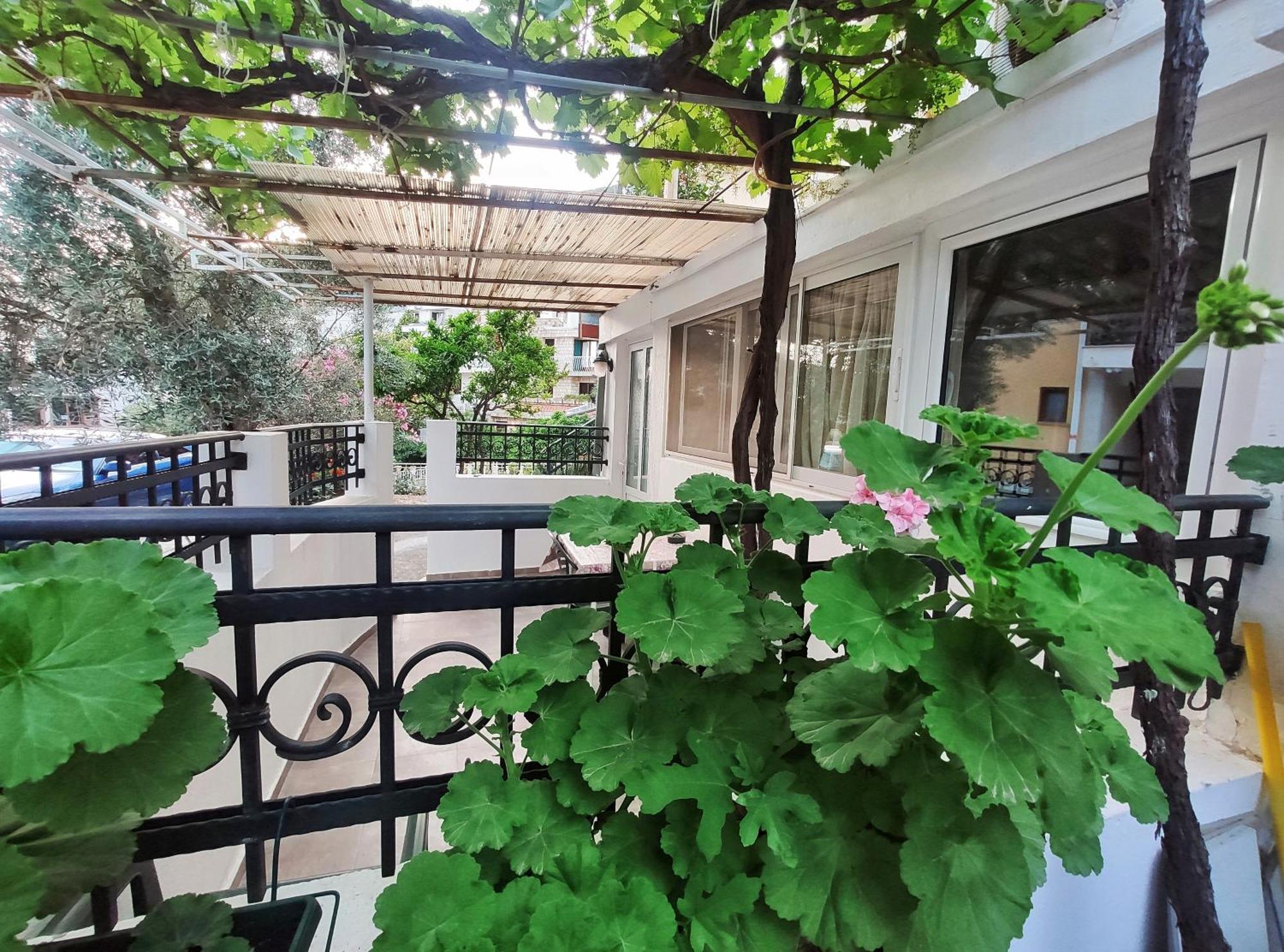 Apartments Gvozdenovic Petrovac Exterior photo